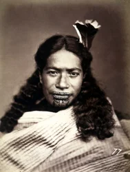 Portrait of a Maori with a tattooed face, c.1886-88